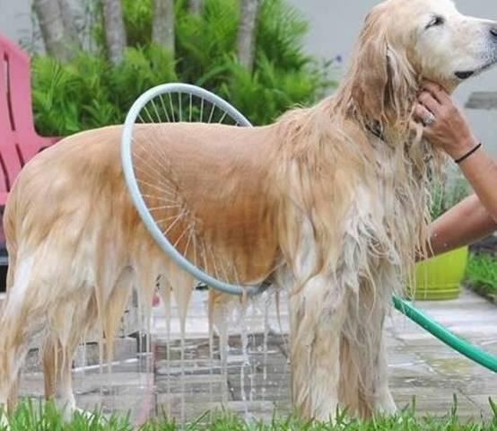 Bác Hồ thăm Vạn Lý Trường Thành.